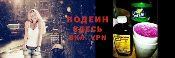 прущие грибы Коряжма