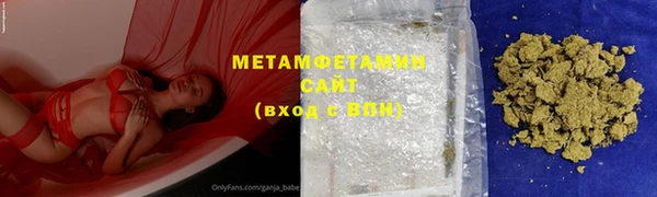 прущие грибы Коряжма