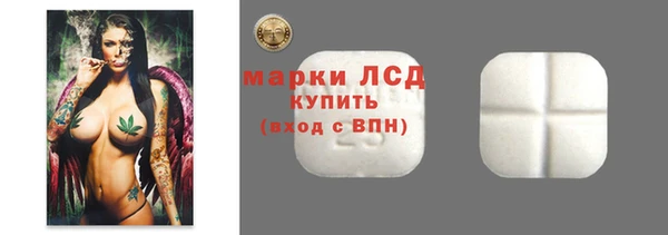 прущие грибы Коряжма