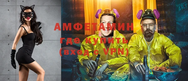 прущие грибы Коряжма