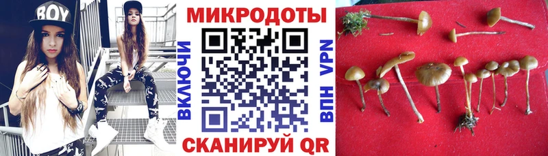 Галлюциногенные грибы прущие грибы  Купить закладки  Гаджиево 