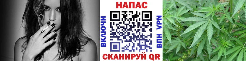 Канабис семена Гаджиево